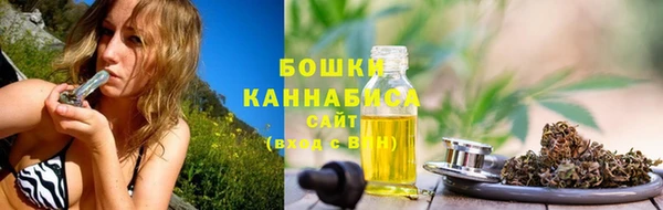 крисы Верея