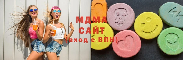 индика Волоколамск