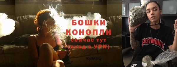 крисы Верея