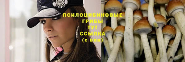 крисы Верея
