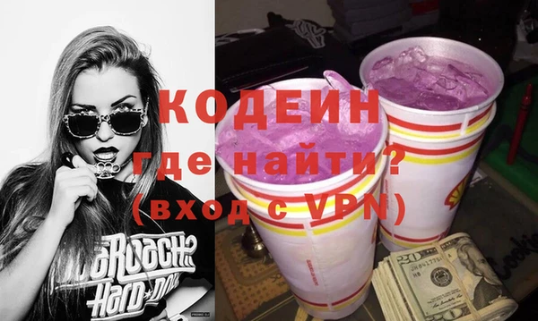 индика Волоколамск