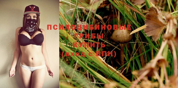 PSILOCYBIN Верхний Тагил