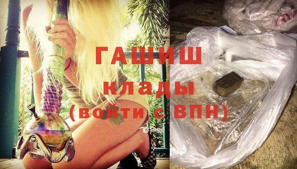 индика Волоколамск