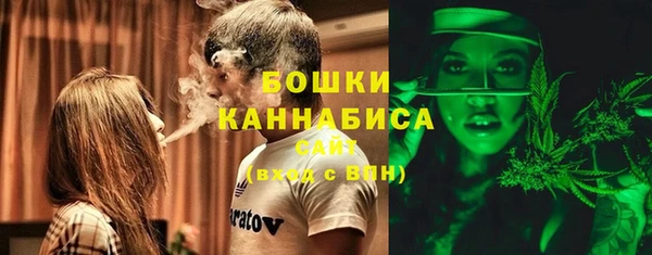 PSILOCYBIN Верхний Тагил