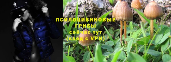 индика Волоколамск