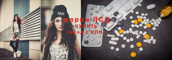 крисы Верея
